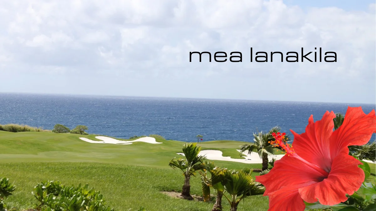 Smith makes history in Kapalua